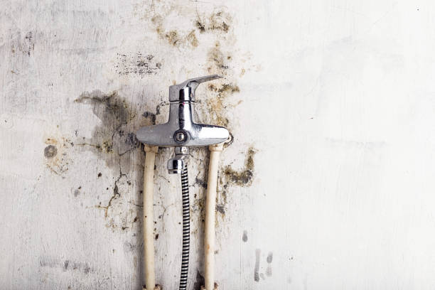 Best Mold Testing  in Crystal City, TX