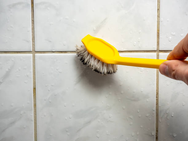 Best Emergency Mold Removal  in Crystal City, TX