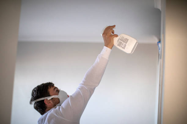  Crystal City, TX Mold Removal Pros