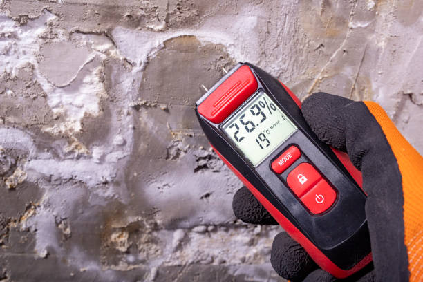 Best Water Damage Restoration  in Crystal City, TX