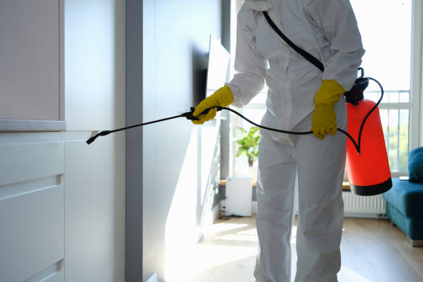 Best Office Mold Removal Services  in Crystal City, TX