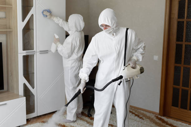 Best Local Mold Removal Service  in Crystal City, TX