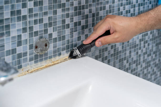 Best Commercial Mold Removal  in Crystal City, TX
