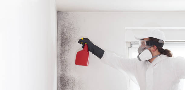 Best Residential Mold Removal  in Crystal City, TX