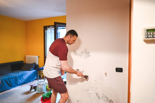 Best Fast Mold Removal  in Crystal City, TX
