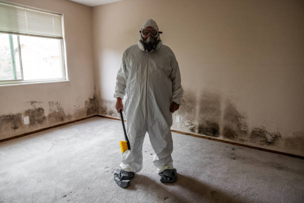 Best Toxic Mold Removal  in Crystal City, TX